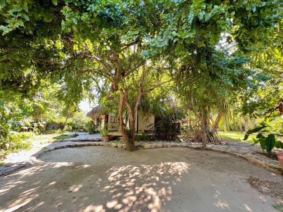 Casa Kuul, Elegant Fusion Of House And Garden. Villa Puerto Escondido  Eksteriør billede